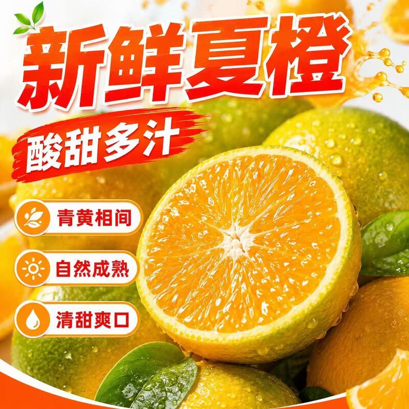 【Juicing Oranges】Premium Summer Oranges, Freshly Picked Oranges, High Mountain Sweet Oranges, Seasonal Fruits for Pregnant Women, Whole Box Wholesale 【Juicing Oranges】Premium Summer Oranges, Freshly Picked Oranges, High Mountain Sweet Oranges, Seasonal Fruits for Pregnant Women, Whole Box Wholesale