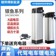 厂家供应48伏电动车电瓶银鱼海霸款48V单车代驾车外卖车原装电池
