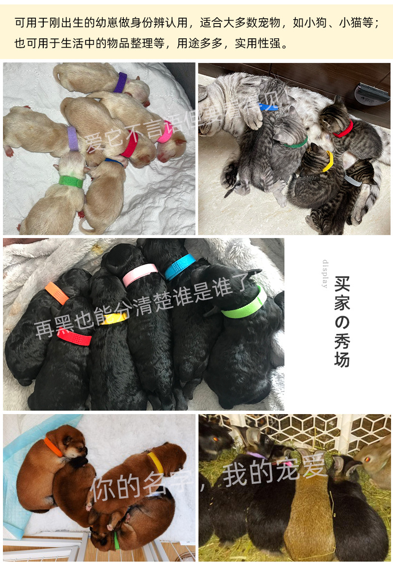 10色印字宠物圈详情2_09