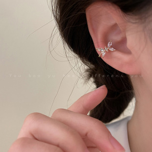 �ʯ����������Ͷ��A���ǊA�o����С���߼����ɚ�ɭϵ�OӋ���Ů