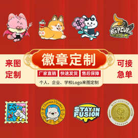 金属徽章来图定制ogo烤漆珐琅校徽胸针胸章动漫IP盲盒纪念章定做