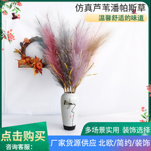 �����JȔ������˹�� ��Ȕ�݄��m�~�Gɫֲ�����ƲݏS�����l�ٲݻ�