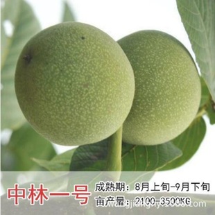 �޽ӹ�������̸�����Ƥ�������Ϸ������Nֲ�t���Ҙ��箔��Y��