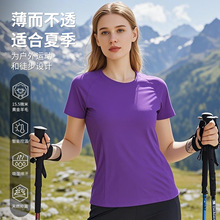 灰壳美利奴羊毛速干衣女短袖T恤户外运动登山徒步跑步美丽诺羊毛