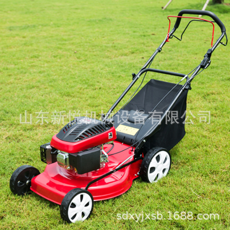 四冲程汽油草坪机 20寸自走式打草机 新款汽油手推式除草机厂家
