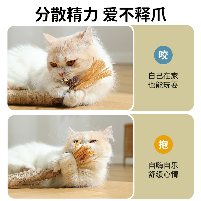 Nuevo gato de juguete Polygonum multiflorum palo con insecto Gall fruta varilla mordedura combinación molar limpieza dental remoción fresco aliento