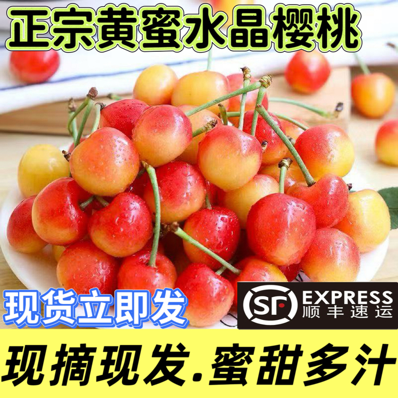 2026 Shandong Yellow Honey Crystal Cherries Fresh Fruit Golden Rainy Cherries Sweet and Juicy Freshly Picked and Shipped 2026 Shandong Yellow Honey Crystal Cherries Fresh Fruit Golden Rainy Cherries Sweet and Juicy Freshly Picked and Shipped