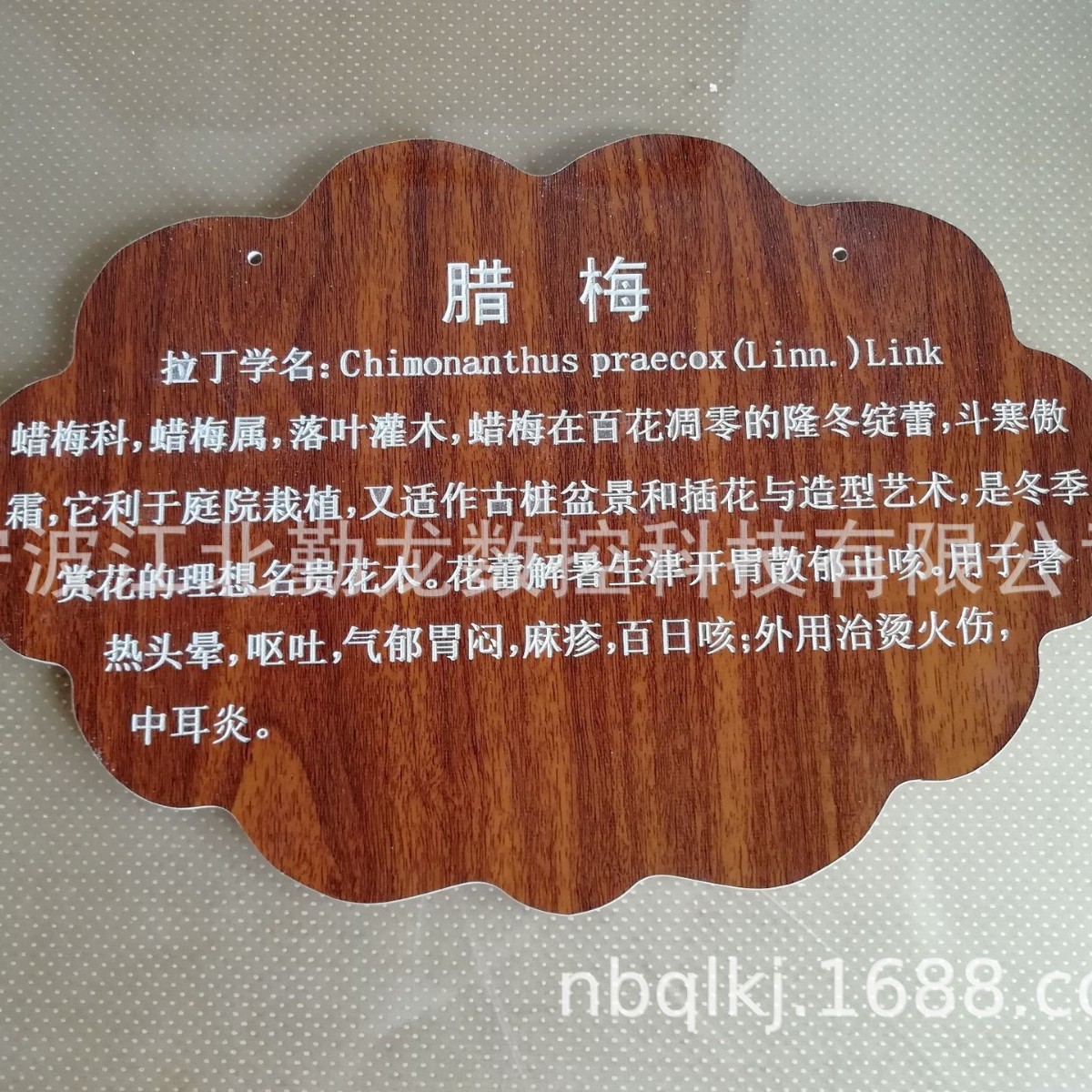 二维码树牌植物花草标识提示挂牌树名牌认养亚克力牌