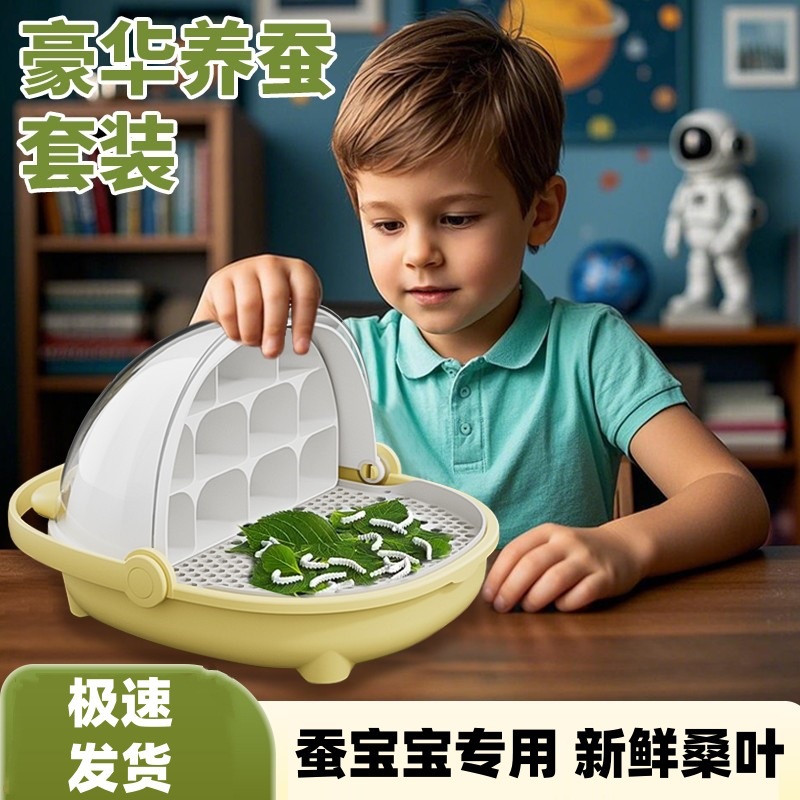【반캐티】뽕잎