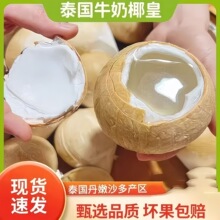 厂家供应泰国当季椰子椰进口椰皇新鲜泰国奶香椰子泰国香水椰批发