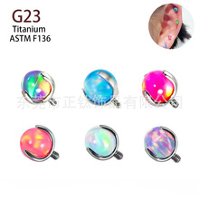 F136�ѺϽ�ı�������������ı�G23��Բ�鴽�����崩����Ʒ���