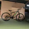 Dark green