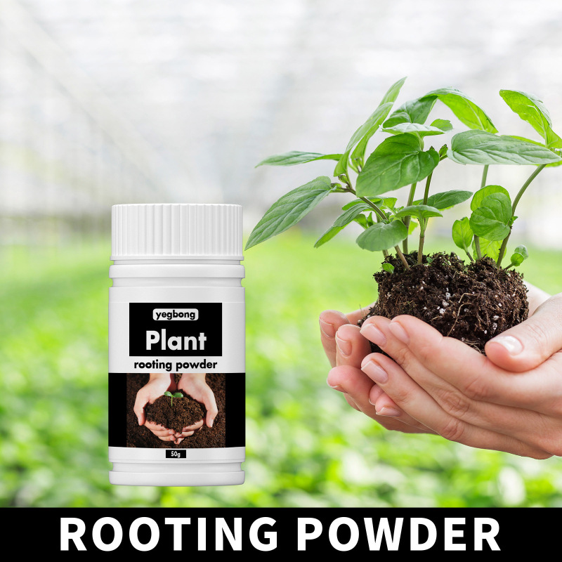 Yegbong生根粉植物発根通用根系挿し木用栄養粉移植樹木果樹発根|undefined