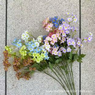 ��c���滨������ͩ��Y�ò���·���쾰���Q���l���Ļ�ɭϵ��c