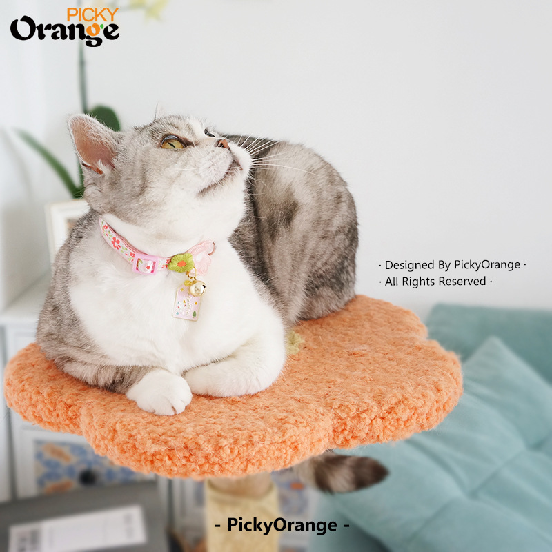 Mèo Mục Vụ 5.jpg