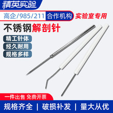 ����� ������������� �ЌW�������x����� ���P䓽���� ̽�