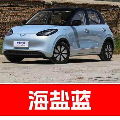 Paint Pen Baojun Rongguang Journey, Avtomobil boya qələmləri - take-one-shot-and-two-color-paint-1-and-brightening-polish-1-and-then-send-a-tool-kit-sandpaper-cleaning-cotton-pen-tip-sea-salt-blue