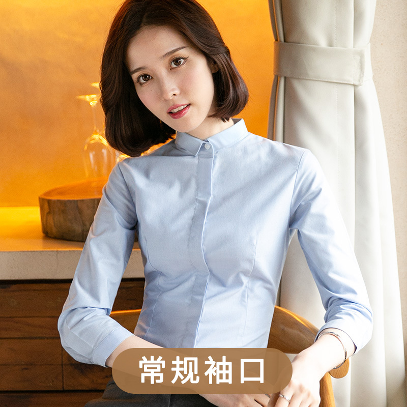 작은 칼라 블루 241