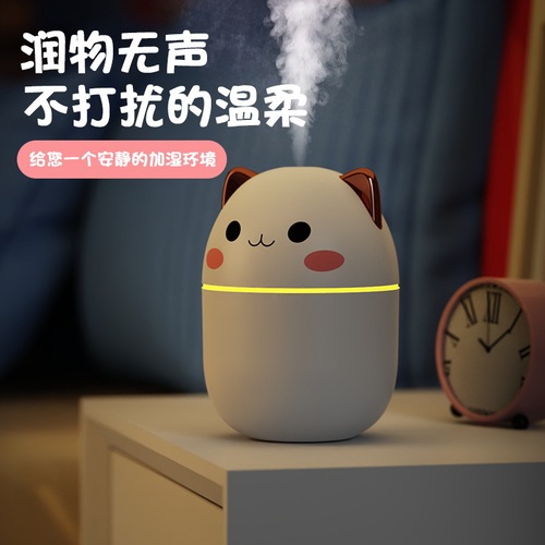 Mini humidifier new pet USB desk office silent bedroom fog rainbow light gift wholesale hot sale