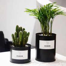 ���W�L�҃�����������B�������k���ҾGֲ�����՚�