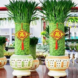 花盆容器;盆栽;狗狗窝/笼/垫