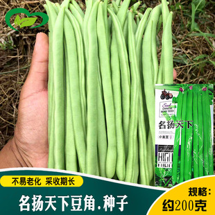 ���P����С�𶹶��Ǽܶ��N�Ӵ����ļ�����ܿ���ǷN�Ѹ߿��S�����l