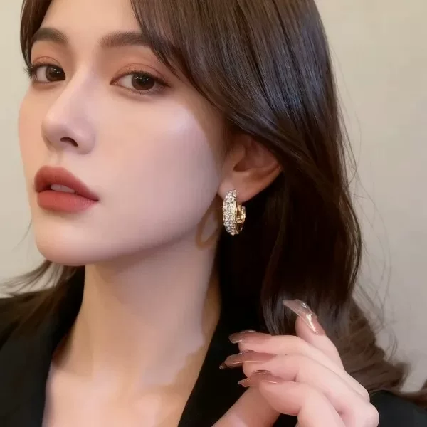 S925 Silver Needle Micro-Inlaid Full Diamond Exquisite Fashion Hoop Earrings High-End Versatile Personality Hoop Earrings for Women Internet Celebrity New Model