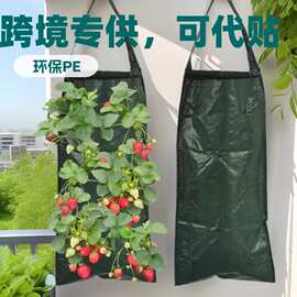 跨境植物种植袋挂壁式生长袋栽培袋多口草莓袋吊蓝莓植袋悬挂式