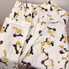 pingu���Z˯��Ů�����L��2026�¿�＾���⴩�ɐۼҾӷ����b