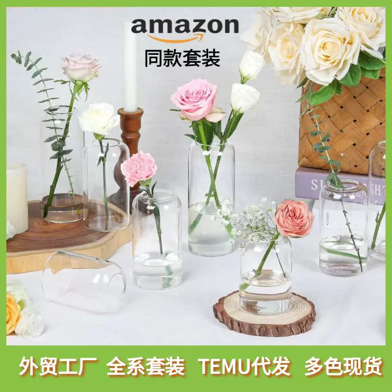 外贸迷你小花瓶插花高级感 透明小口花瓶玻璃装饰水培ins摆件套装