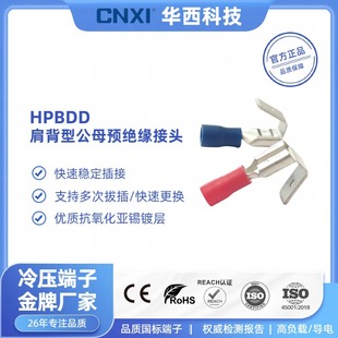 Sk Shoulder-Shaped Male and Female Pre-Insulated Connector Hpbdd2-250 Series Spring Insert 6.3 Cold-Pressed Terminal Block