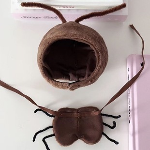 10cmŬŬ�w�����w13cm�Գ���&ldquo;�������&rdquo;�����޻����ޓQ�b����