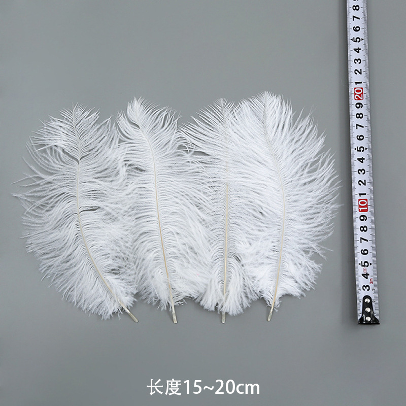 15-20cm 타조 깃털 하드 폴