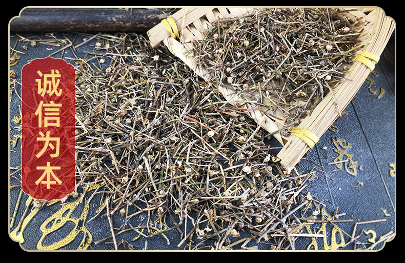 Dried Hedyotis Diffusa Whole Herb Bai Hua She She Cao Loose Bulk Herb for Decoction and Tea 500g in use