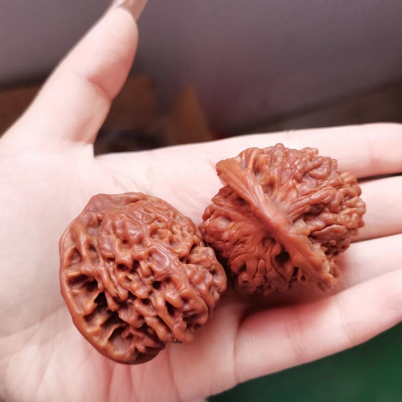 文玩くるみの屋台、文玩くるみの手元飾り、マッチングするキリン模様の練習用くるみ|undefined