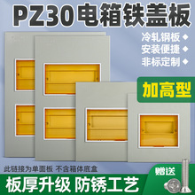 電箱蓋面板pz30強電箱配板家用電表箱電箱電表箱遮擋空開照明蓋板