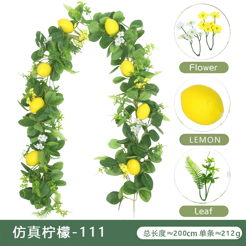 El limón 111