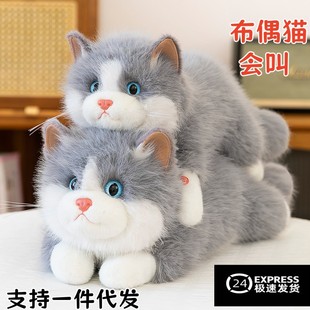 ����ɐ۲�ż؈����ë�q����Ȍ�����ſ��؈����ż��ͯ���նY��