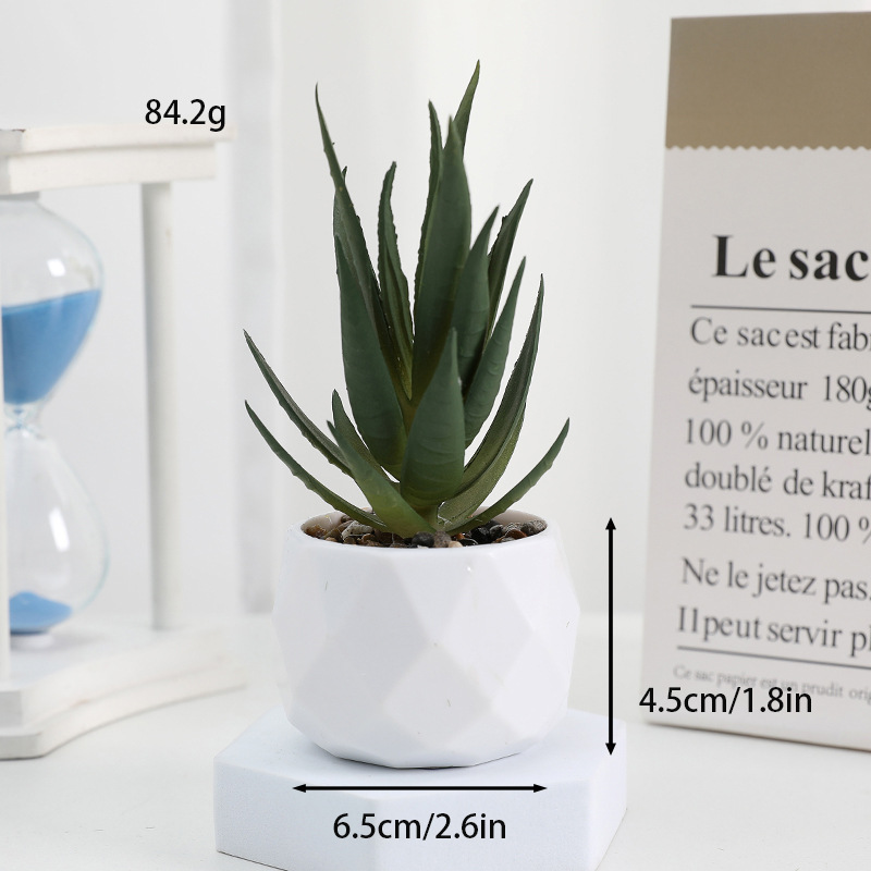 Aloe Vera Diamante-Garra de Águila