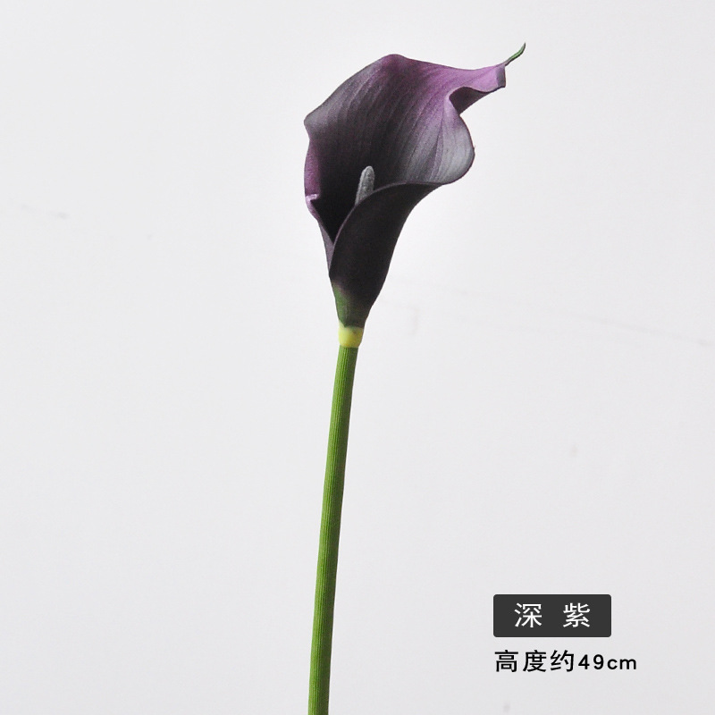 진한 보라색