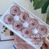 4-5CM card cloth color box