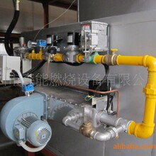 DCM-40����ʽȼ��ȼ����,DCM-30ȼ��ȼ����,������Ӣȼ��������