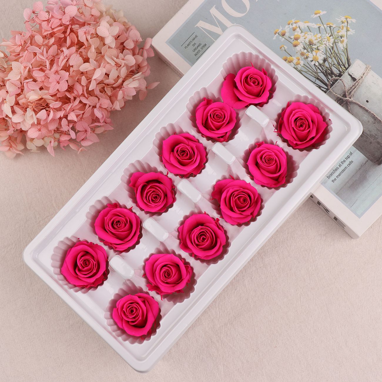 Cabezas de Rosa Eternas A+, 3-4 cm, 12 Piezas, Materiales para Manualidades Florales, Caja de Regalo, Fabricante, Venta al por Mayor
