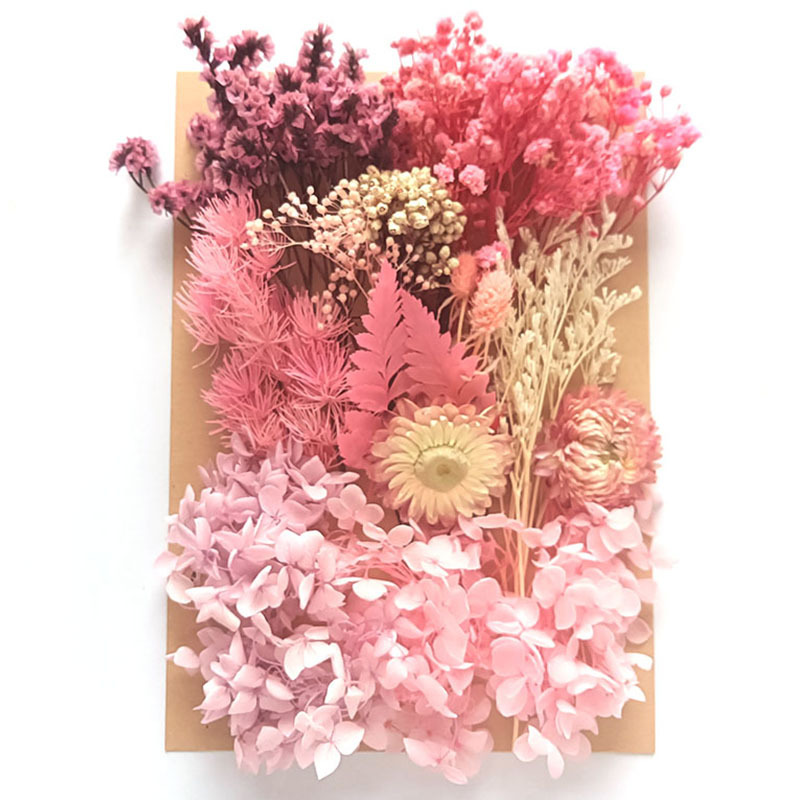 Flor seca flor eterna marco de fotos en relieve paquete de material combinación paquete de flores aromaterapia ventilador A5 bolsa de fábrica al por mayor transfronteriza