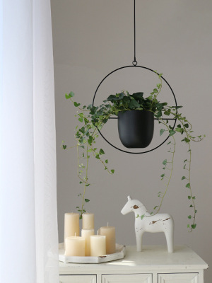 window wall ceiling hanging planters plant pot basket holder for vines succulents herbs