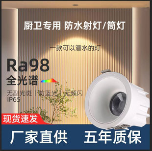 Waterproof spotlight small hill led embedded hotel downlight household bathroom kitchen anti-fog moisture anti-glare IP65