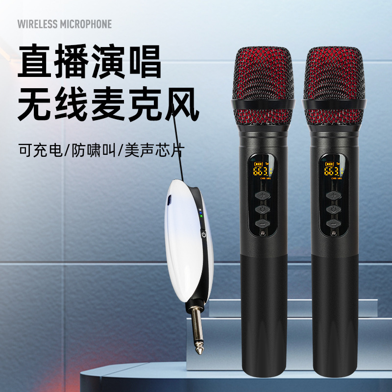 Ad Rechargeable Wireless Microphone One-To-Two Outdoor Live Streaming Sound Card Home Karaoke Stage Microphone Speaker with Amplifier