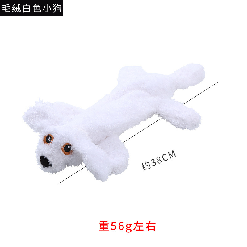 흰색 강아지