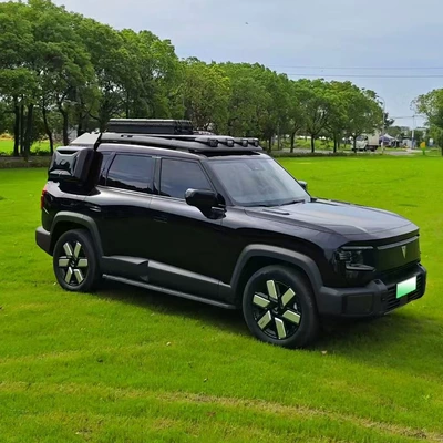 Roof rack — for dark blue G318 platform