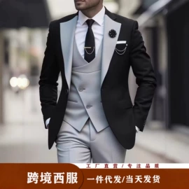 男式西服套装